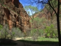 22avr_13.37 - Zion National Park.jpg